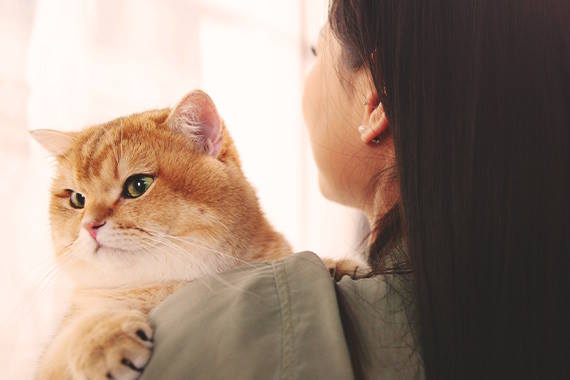 گربه‌ای در آغوش صاحبش