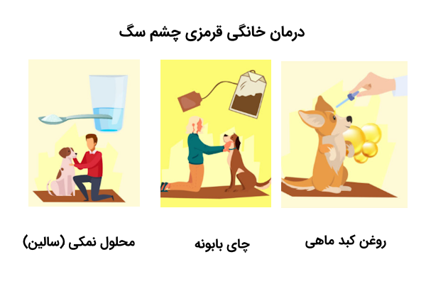 درمان خانگی قرمزی چشم سگ