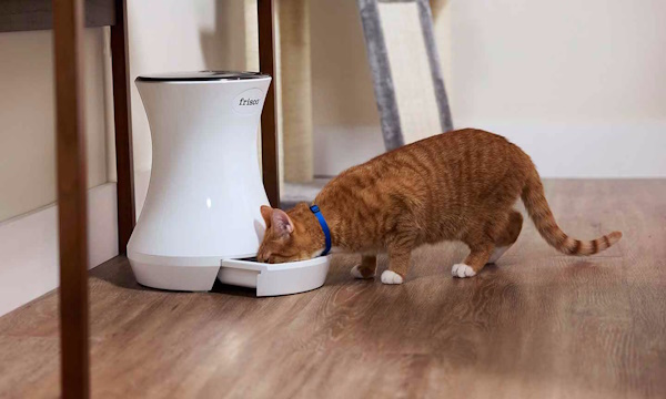 ظرف غذای تایمردار