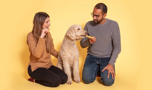 صاحبان سگ در حال آموزش دادن به مسواک زدن سگ