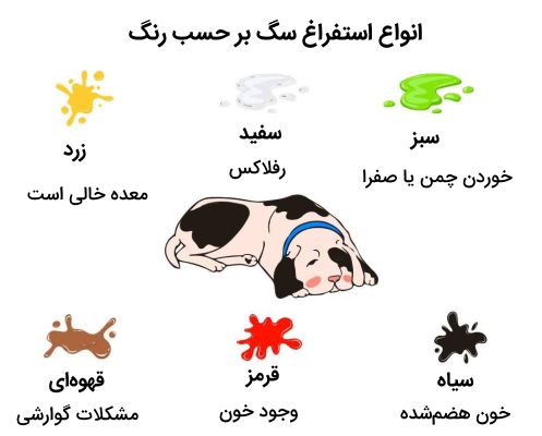 انواع استفراغ سگ بر حسب رنگ