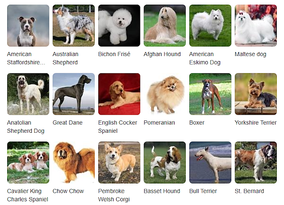 انواع نژاد سگ با اسم