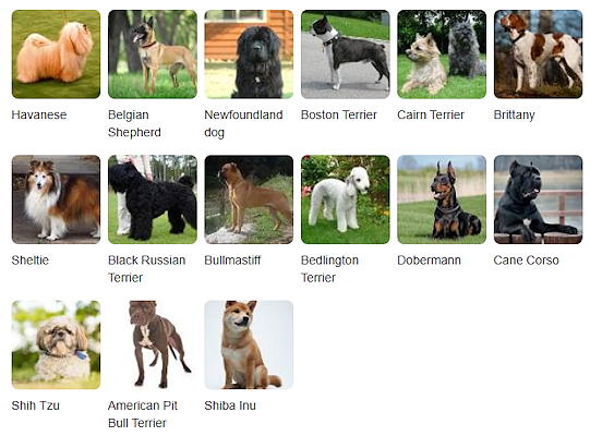 انواع نژاد سگ با اسم