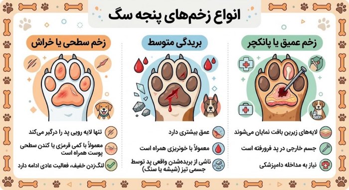 انواع زخم پاستیل سگ