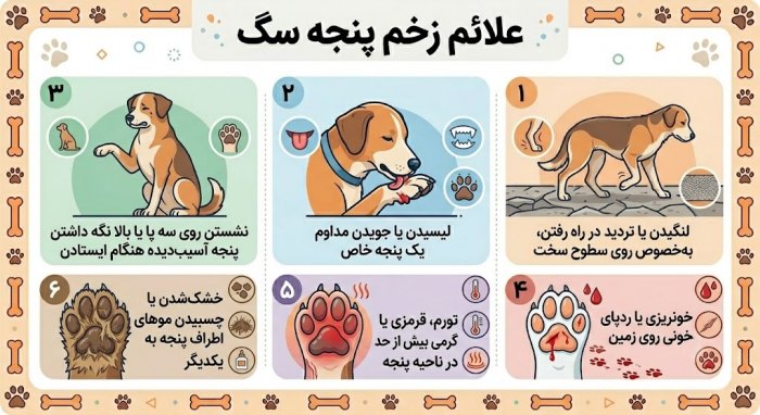 علائم اصلی زخم در کف دست و پای سگ