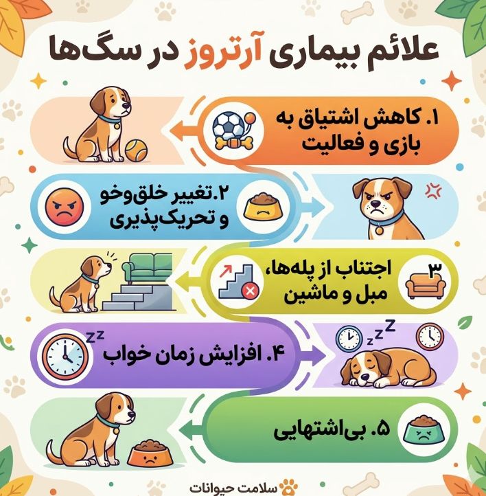 علائم بیماری آرتروز سگ در یک نگاه