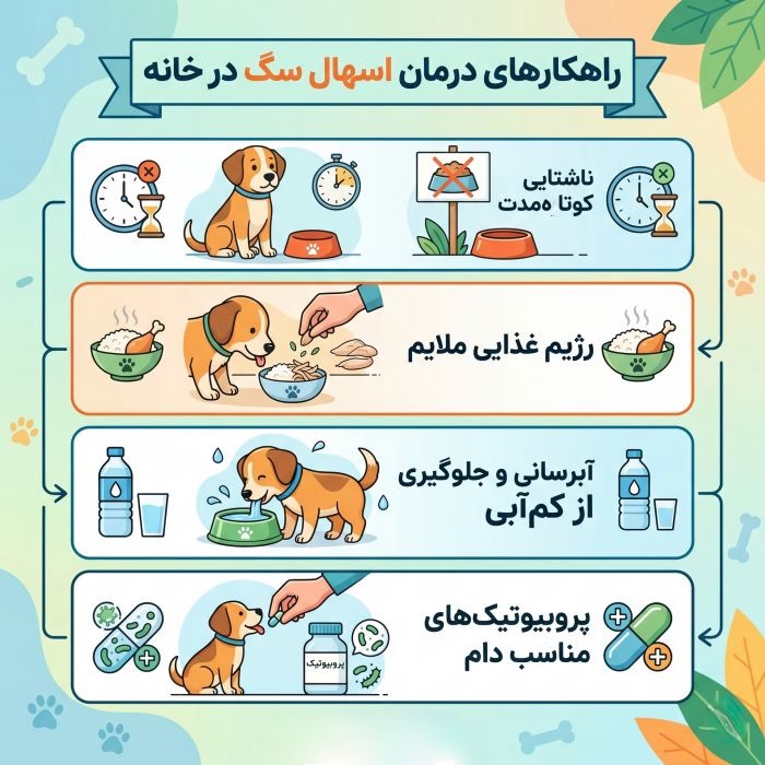 روشهای درمان اسهال سگ در خانه