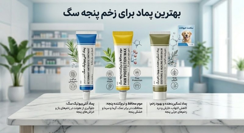 بهترین پمادها برای زخم پاستیل سگ
