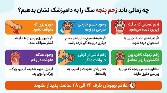 مواردی که باید زخم سگ توسط دامپزشک بررسی شوند