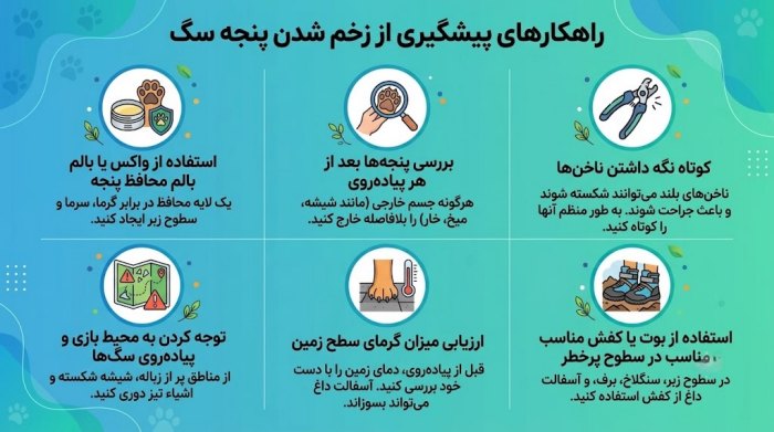 روشهای پیشگیری از زخم شدن پنجه سگ