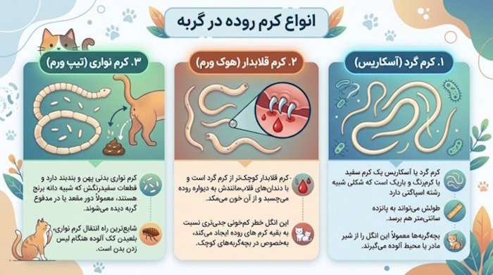 انواع کرم روده در گربه