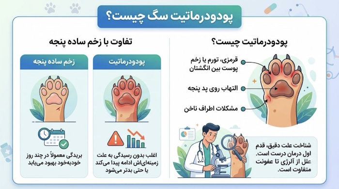 پودودرماتیت سگ چیست؟