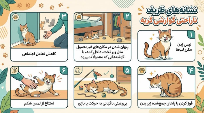 نشانههای ناراحتی گوارشی در گربه