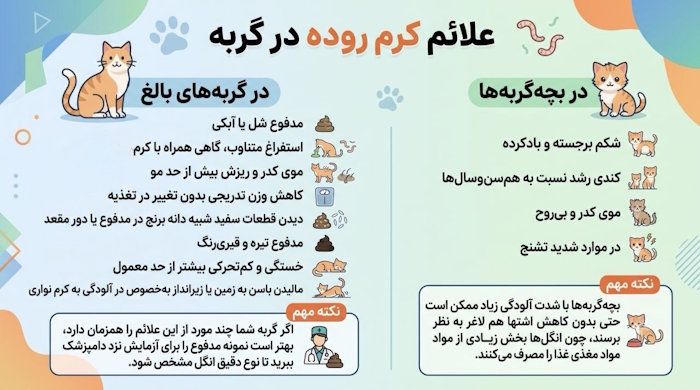 علائم کرم روده در گربه