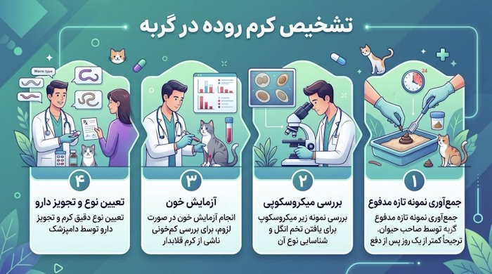 تشخیص کرم روده در گربه