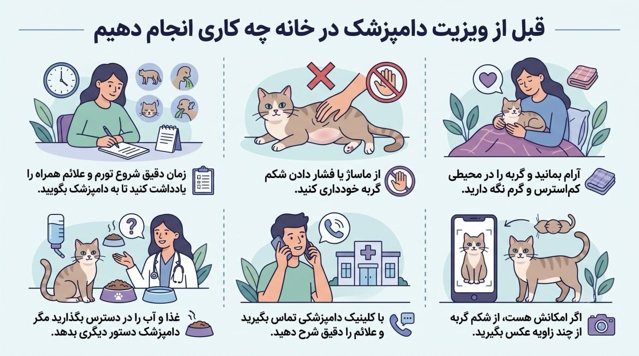 قبل از ویزیت دامپزشک در خانه چه کاری انجام دهیم