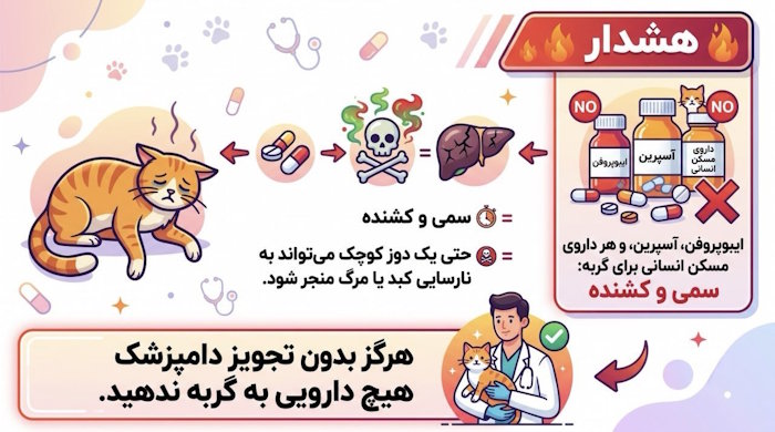 مسکن های ممنوعه برای گربه ها