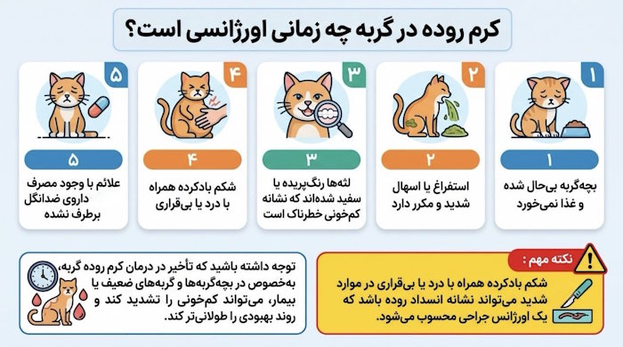 کرم روده در گربه چه زمانی اورژانسی است؟
