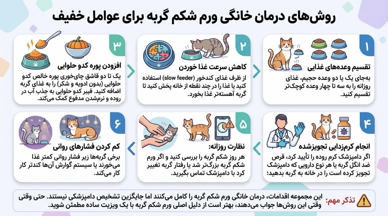 روش‌های درمان خانگی ورم شکم گربه برای عوامل خفیف