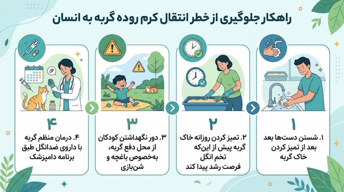 راهکار جلوگیری از خطر انتقال کرم روده گربه به انسان