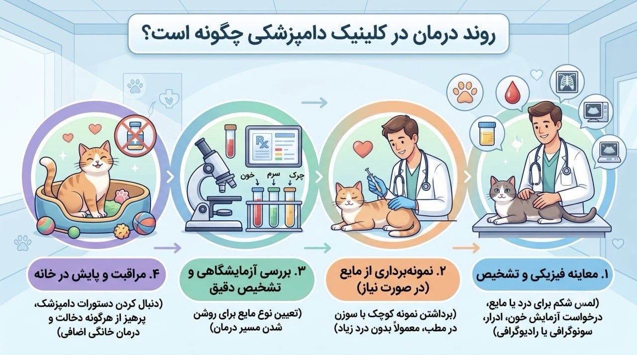 روند درمان در کلینیک دامپزشکی چگونه است؟