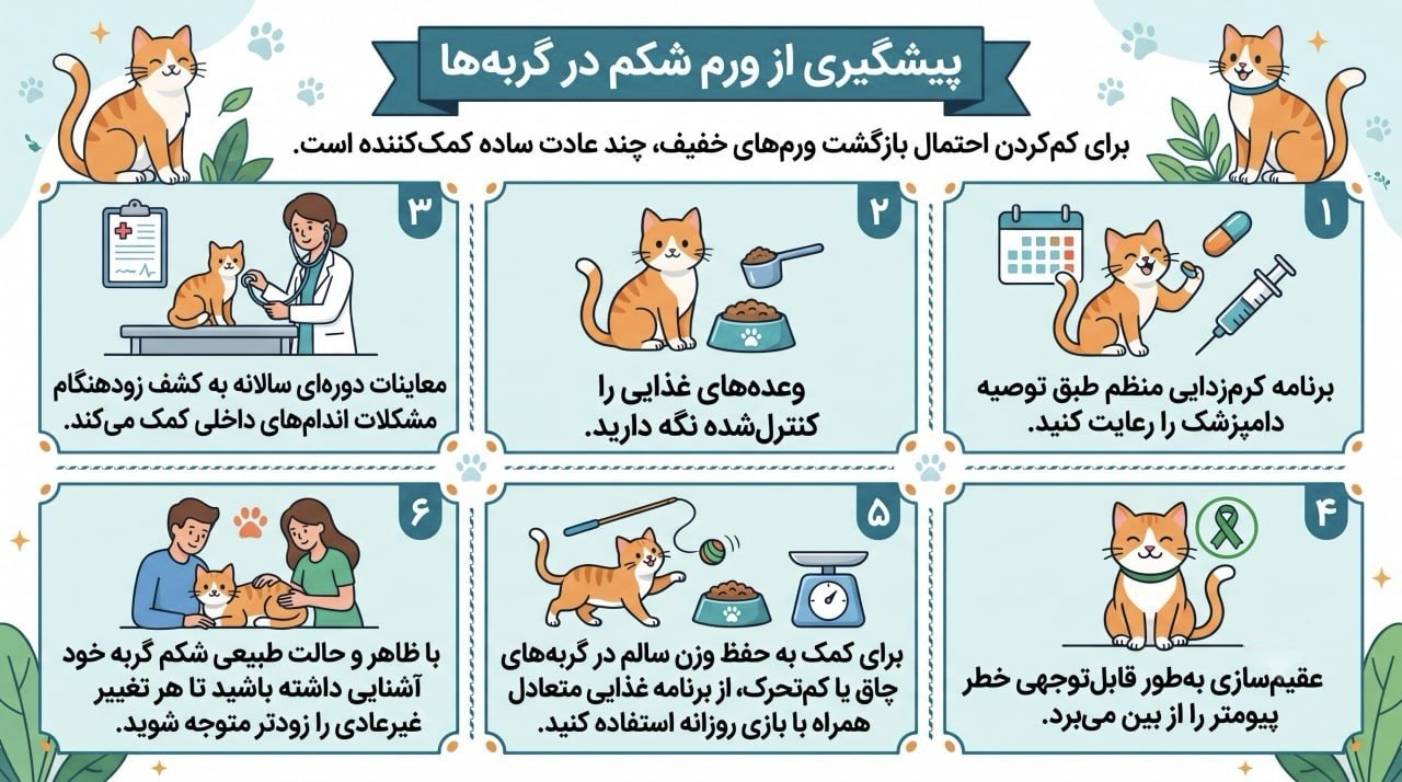 پیشگیری از ورم شکم در گربه‌ها