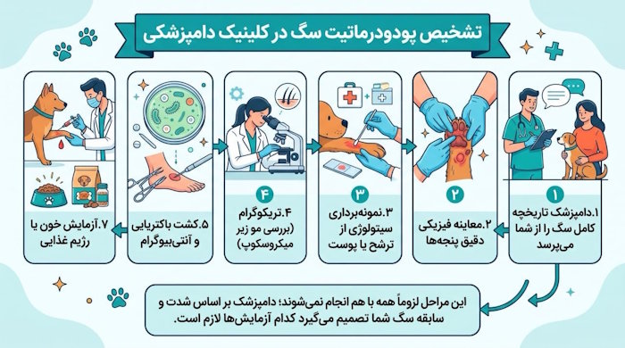 تشخیص پودودرماتیت سگ در کلینیک دامپزشکی