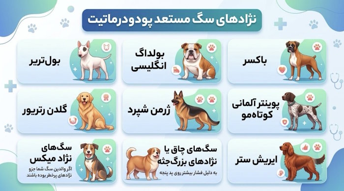 نژادهای سگ مستعد پودودرماتیت
