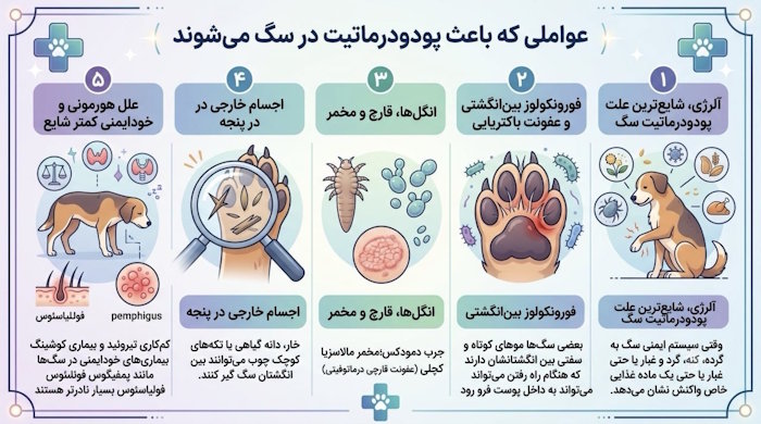 عواملی که باعث پودودرماتیت در سگ می‌شوند