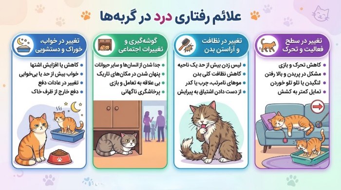 اینفوگرافیک علائم درد در گربه