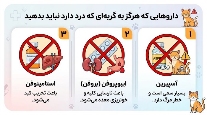 داروهایی که نباید به عنوان مسکن به گربه داد