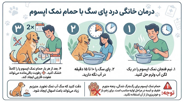 درمان خانگی درد پای سگ با حمام نمک اپسوم