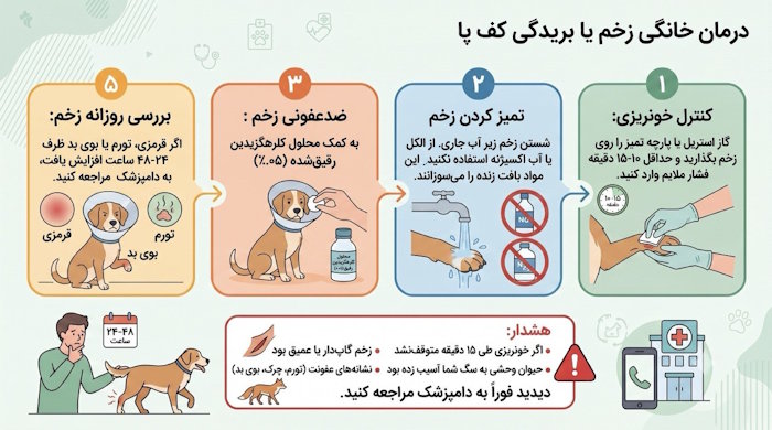 درمان خانگی زخم یا بریدگی کف پای سگ