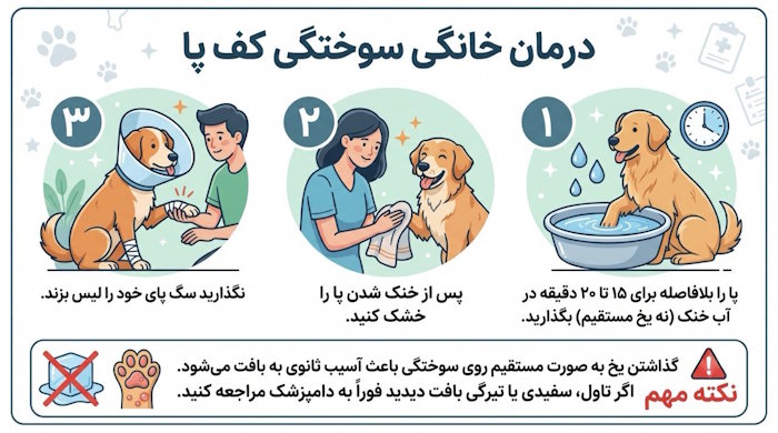 درمان خانگی سوختگی کف پای سگ