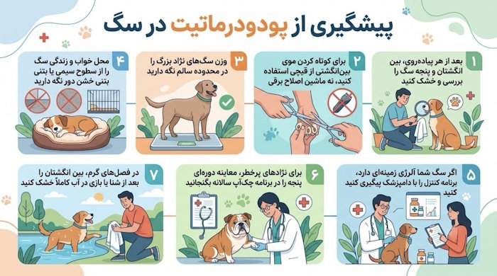 پیشگیری از پودودرماتیت در سگ