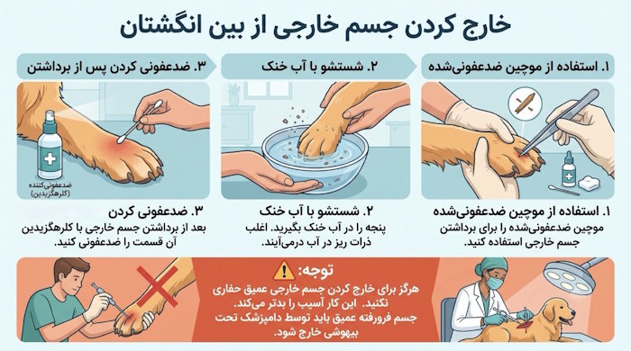 خارج کردن جسم خارجی از بین انگشتان سگ