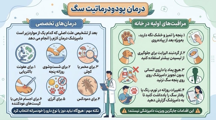 درمان پودودرماتیت سگ