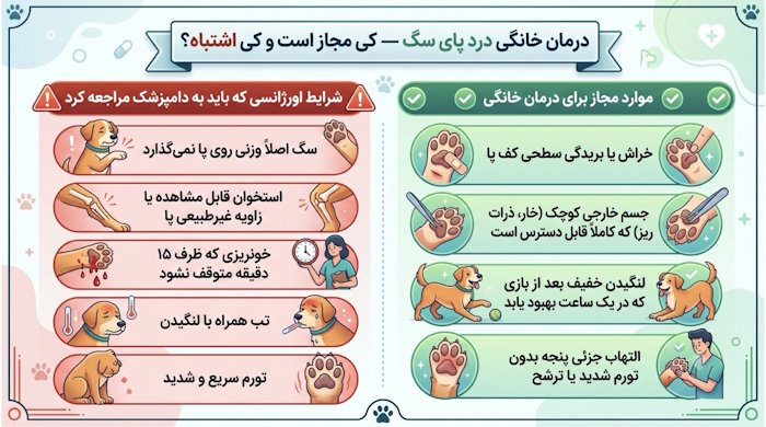 درمان خانگی درد پای سگ کِی مجاز است