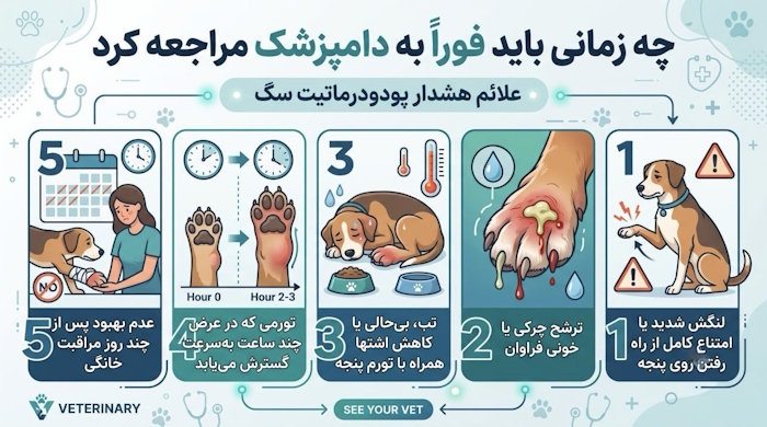 چه زمانی باید فوراً به دامپزشک مراجعه کرد