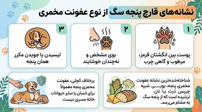 عفونت مخمری پنجه (مالاسزیا)