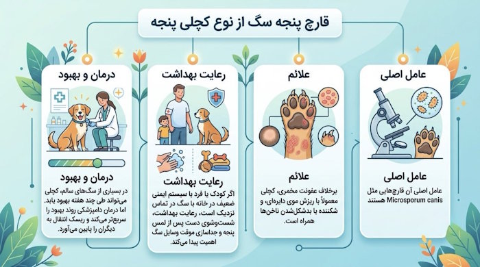 کچلی پنجه در سگ یا درماتوفیتوز