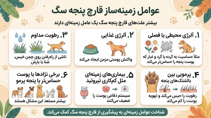 عوامل زمینه‌ساز قارچ پنجه سگ