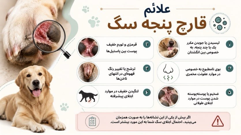 علائم قارچ پنجه سگ
