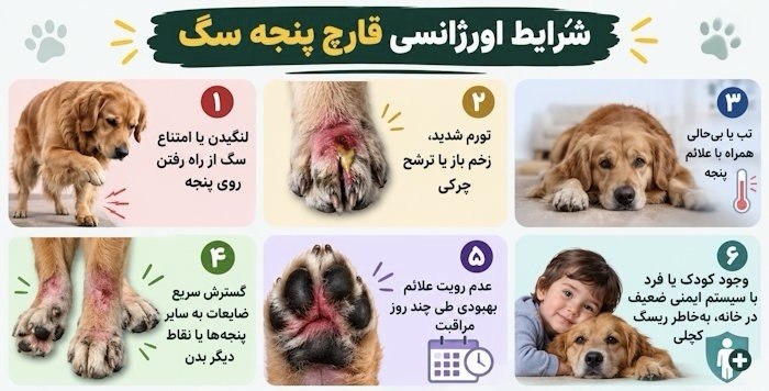 شرایط اورژانسی قارچ پنجه سگ