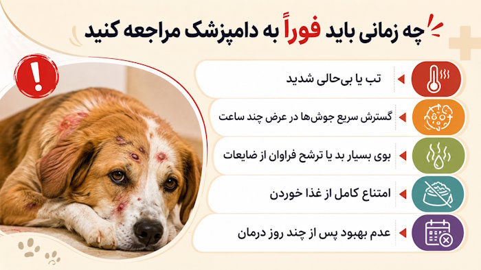 چه زمانی باید فوراً به دامپزشک مراجعه کنید