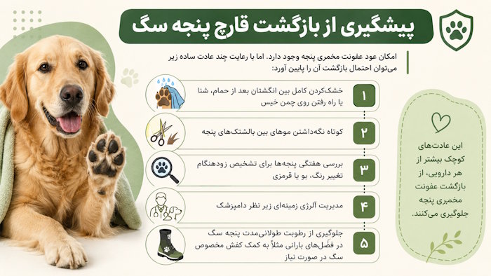 پیشگیری از بازگشت قارچ پنجه سگ