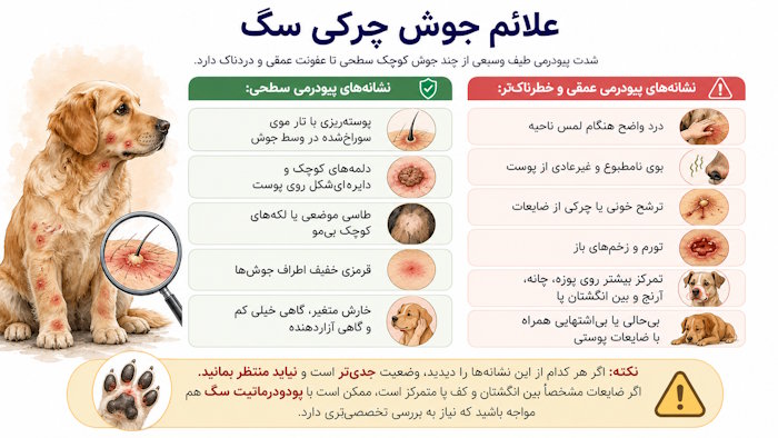 علائم جوش چرکی سگ