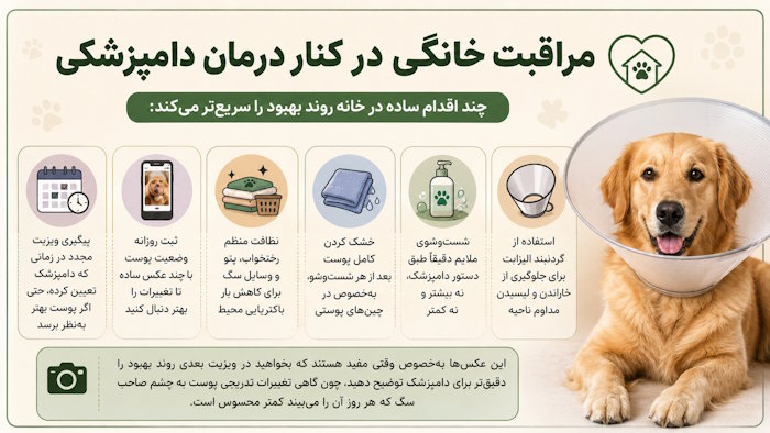 مراقبت خانگی در کنار درمان دامپزشکی