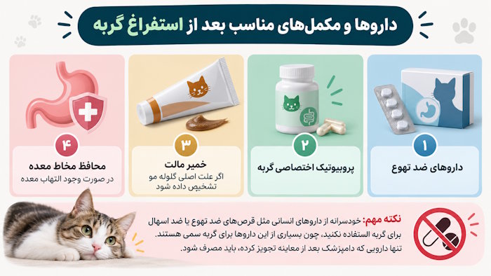 داروها و مکملهای مناسب بعد از استفراغ گربه