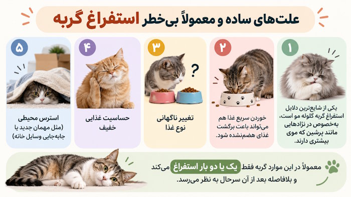 علتهای ساده و معمولاً بیخطر استفراغ گربه
